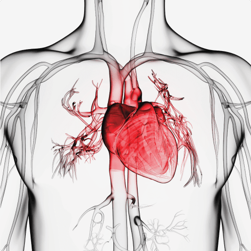 Early detection of heart disease