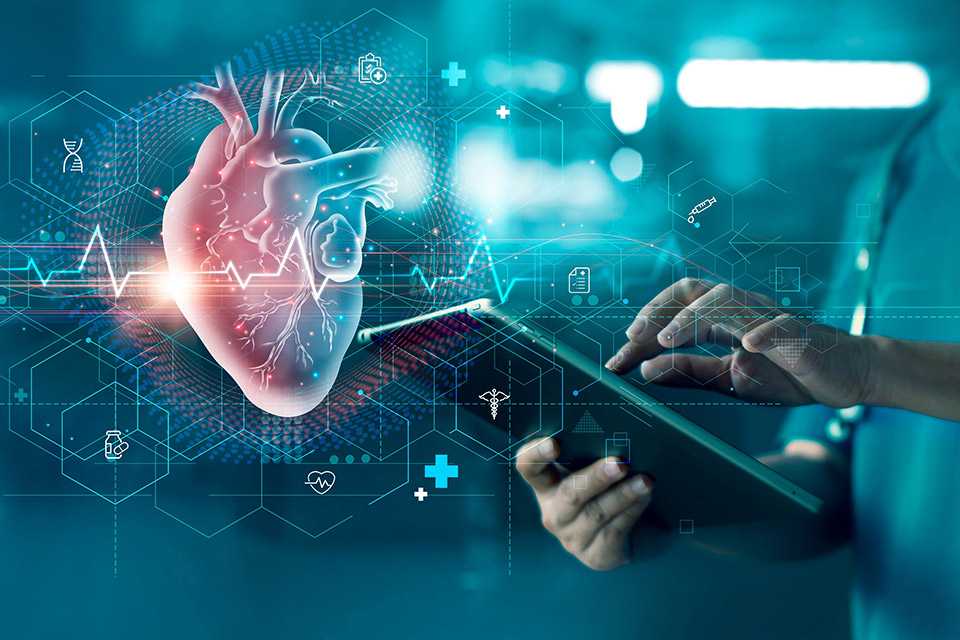 Essential Facts on Coronary Calcium or Heart Scans
